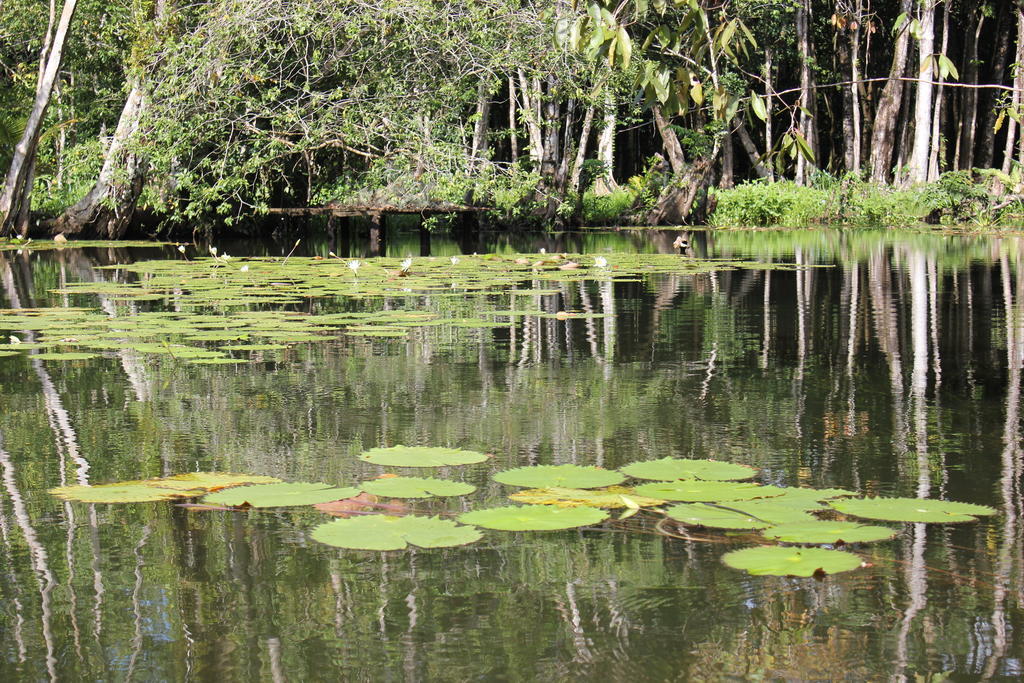 Hotel Y Restaurante Backpackers Rio Dulce Ngoại thất bức ảnh
